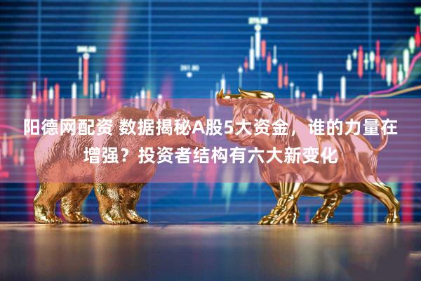 阳德网配资 数据揭秘A股5大资金，谁的力量在增强？投资者结构有六大新变化