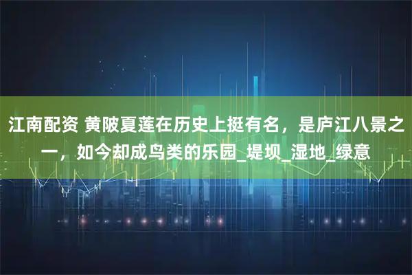 江南配资 黄陂夏莲在历史上挺有名，是庐江八景之一，如今却成鸟类的乐园_堤坝_湿地_绿意