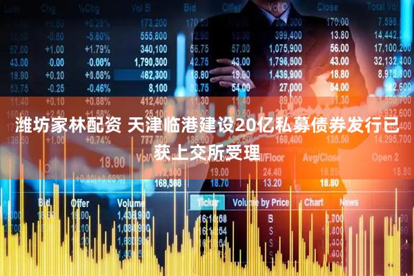 潍坊家林配资 天津临港建设20亿私募债券发行已获上交所受理