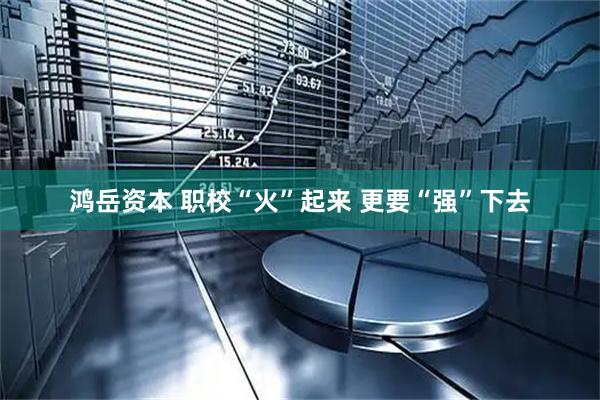 鸿岳资本 职校“火”起来 更要“强”下去